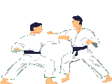 Judogif.gif